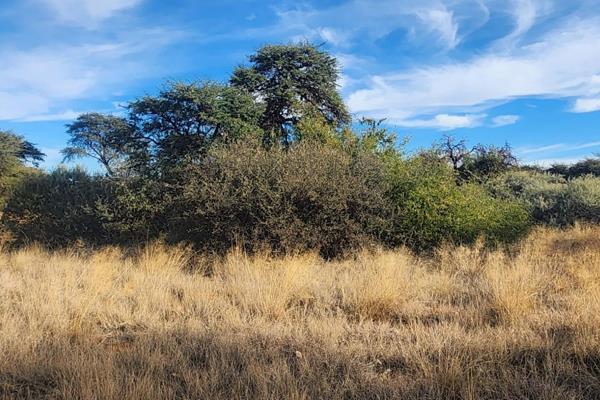 Vacant land for sale on the Kalahari Golf Estate


Last few stands available.

Build your dream home on this 1002 m2 stand and make it ...