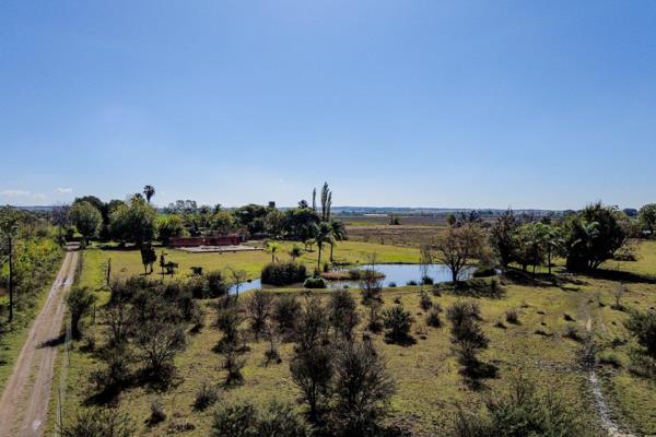 This beautiful farm, a mere 19km from Church Square has so much to offer from a charming farmhouse with huge rooms, kitchen and living ...