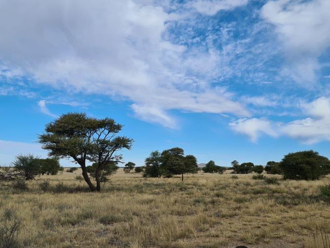 Farm for Sale in Kimberley Rural