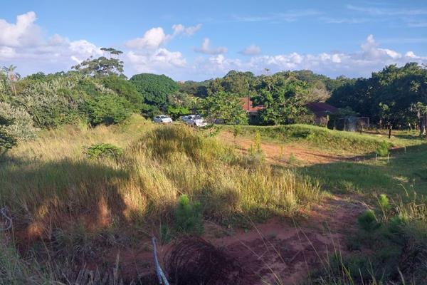 Great Land and Cleared


If you want to invest this, is the right land to do it and Its in a quite area, 
Come and see it for yourself. ...