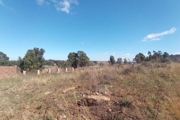 This Vacant land has some foundations on.
On the main dirt road of naauwpoort.
Perfect for business.