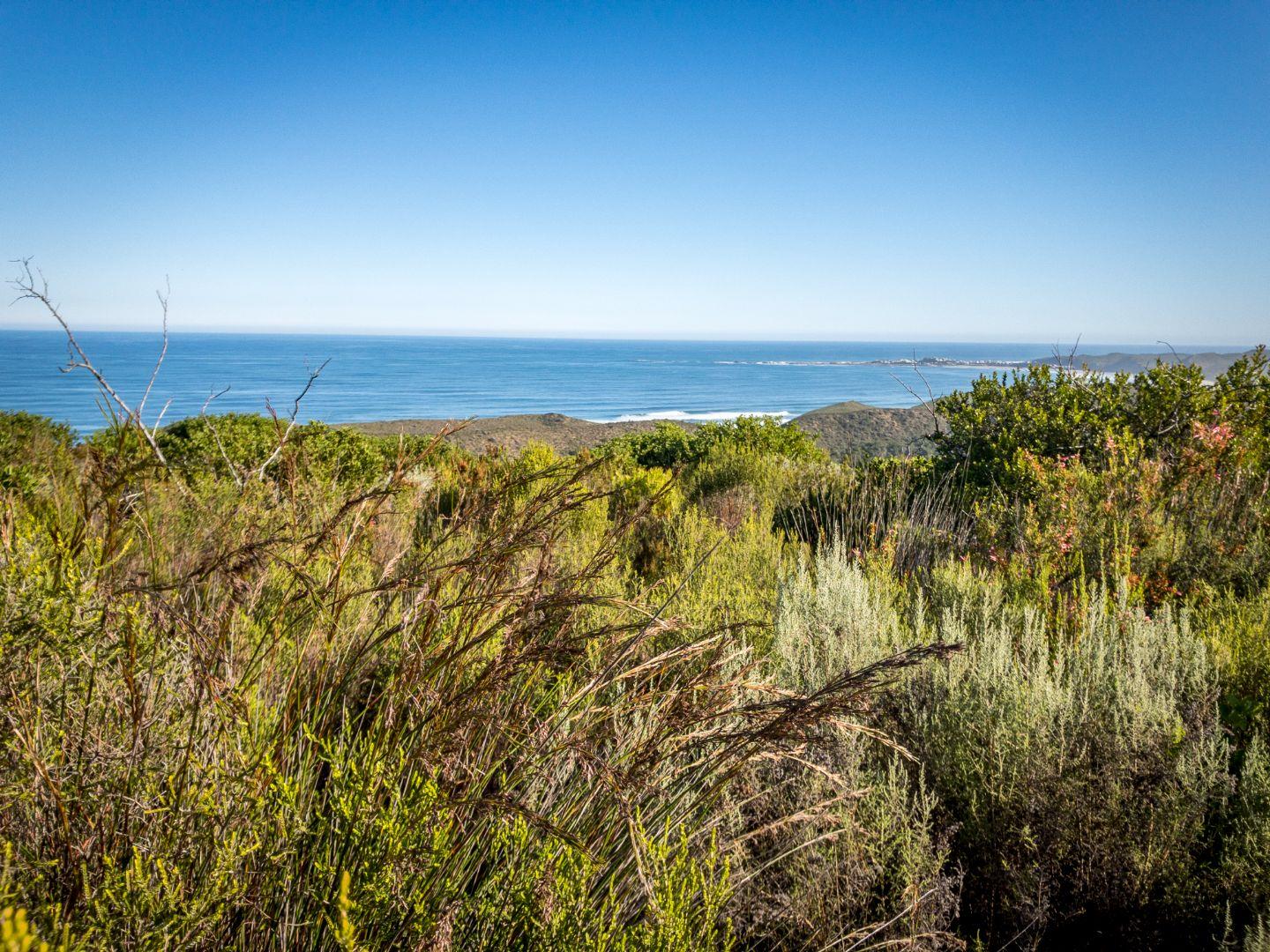 Farm for sale in Brenton On Sea Uitzicht, 73 Church Street P24