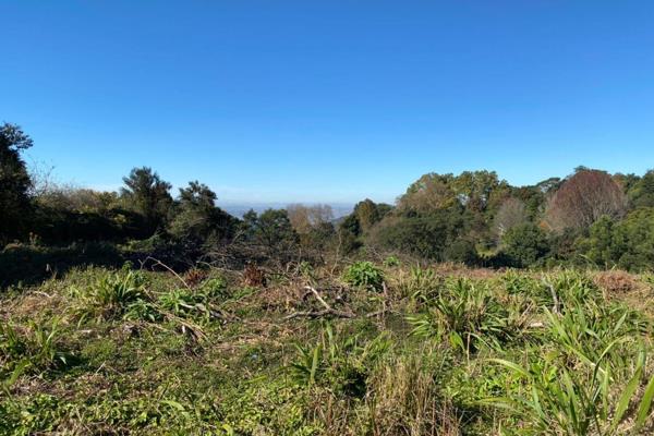 Not often does sought after land become available in prime Hilton location.
This 4,400m2 property has just been cleared and ready for ...