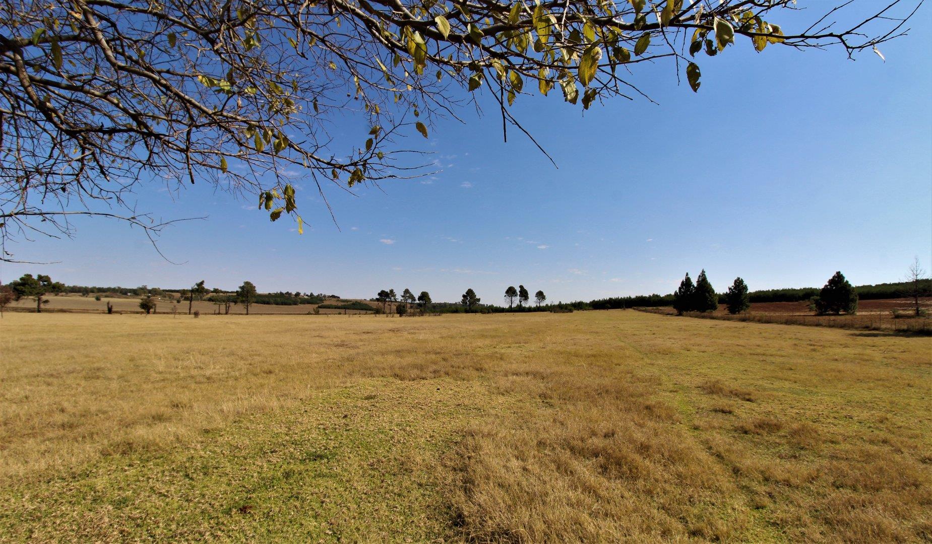 Farm for sale in Tarlton 19 Hillside P24112760219