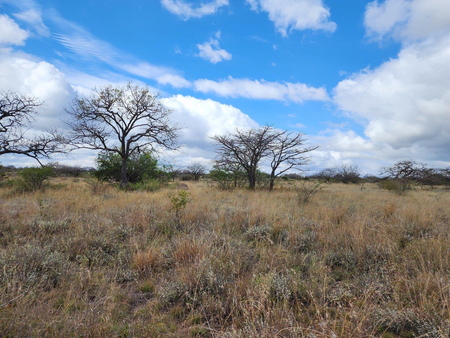 Farm for sale in Polokwane Rural - P24-112782915