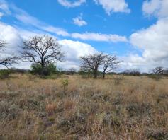 Farm for sale in Polokwane Rural