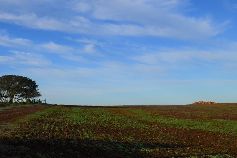 Herbertsdale Property Farms for sale in Herbertsdale