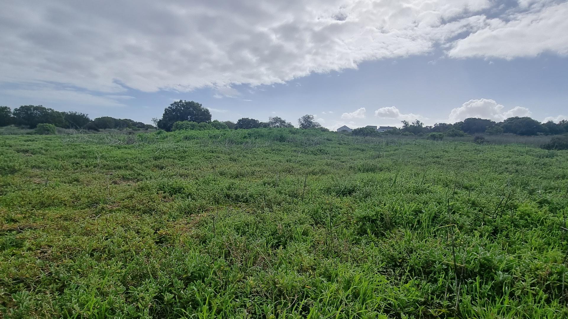 Vacant land / plot for sale in Long Acres Country Estate 3 Turfontein Close P24112814031