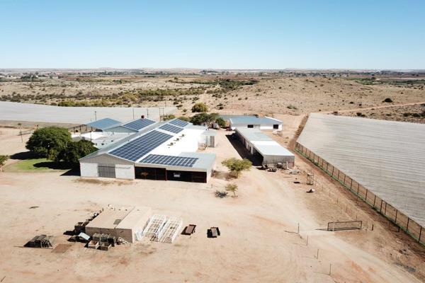 This well-developed farm is located 12 km North from Kakamas on the Northern banks of the Orange River.
 The farm produce Table Grapes ...