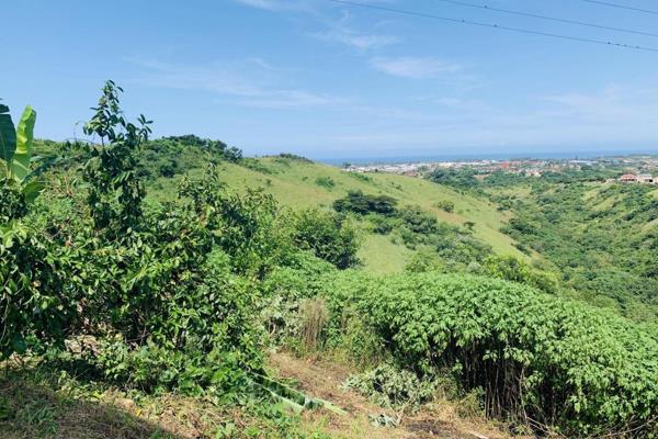 This 8 hectares property has approved plans to develop 3 bedroom  houses. 500 square meters are zoned light residential.
If you are a ...