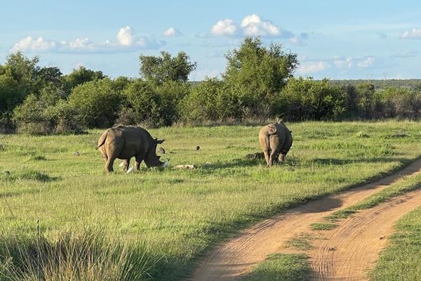 Introducing a captivating opportunity to own a remarkable piece of land within the prestigious Dinokeng Game Reserve. Situated amidst ...