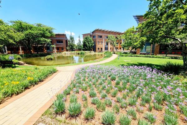 Lovely Office Spaces available for rent in Lakefield Office Park. 

The Office Spaces are lovely with a scenic view of the parks ...