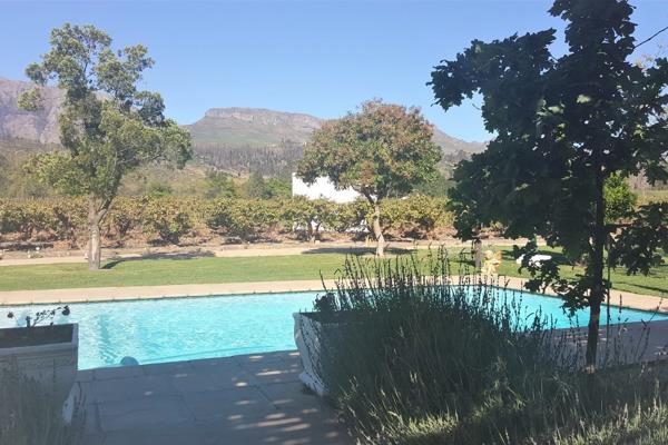 Magnificent Cape Dutch Guest House/Wine farm in the fruitful Paarl Valley!

Overwhelming ...