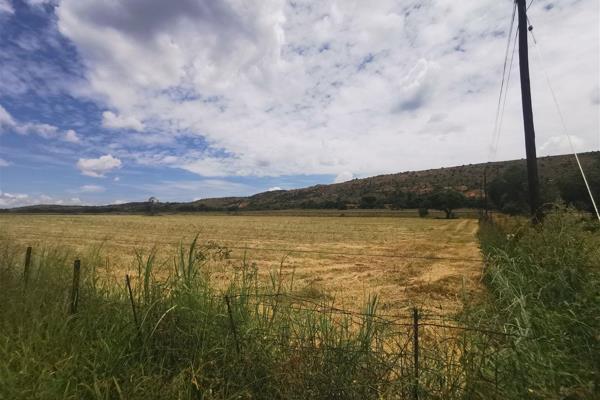 Harcourts is delighted to present this property in Wildebeesthoek.

This 12-hectare plot is currently utilized for planting lucerne and ...