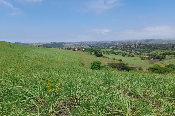 This 11.17 hectors of farm is situated in Fraser with a gentle gradient. Currently the farm is used to grow sugar cane. There are ...