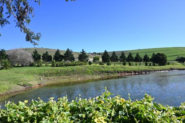 Farms in the Overberg do not often come on the market, therefore this well-established, 144-ha thoroughbred stud farm is a gem, and is ...