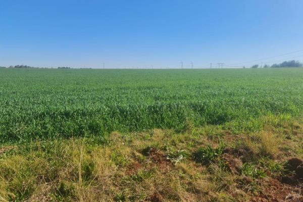 Beautiful, flat vacant land next to The Hills. 

Developers dream, Good soil with electricity and bore hole.

 Only 500 m from ...