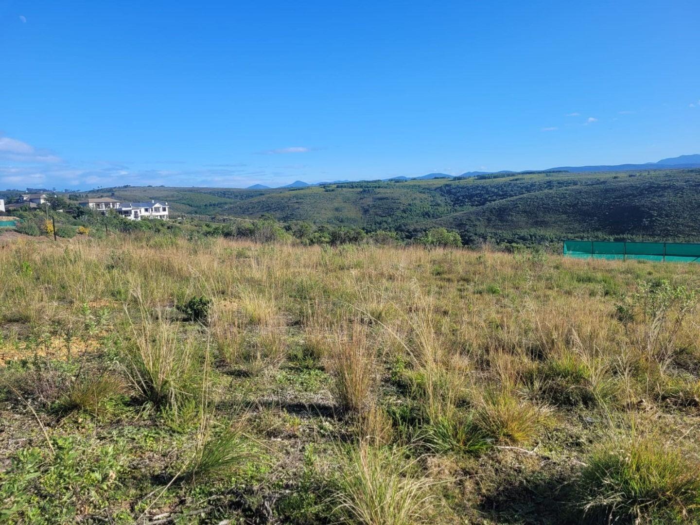 Property And Houses For Sale In Plettenberg Bay Plettenberg Bay   310715575