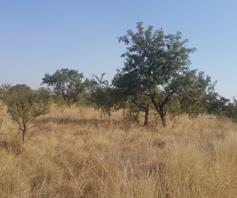 Farm for sale in Waagfontein