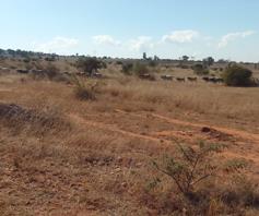 Vacant Land / Plot for sale in Polokwane Rural