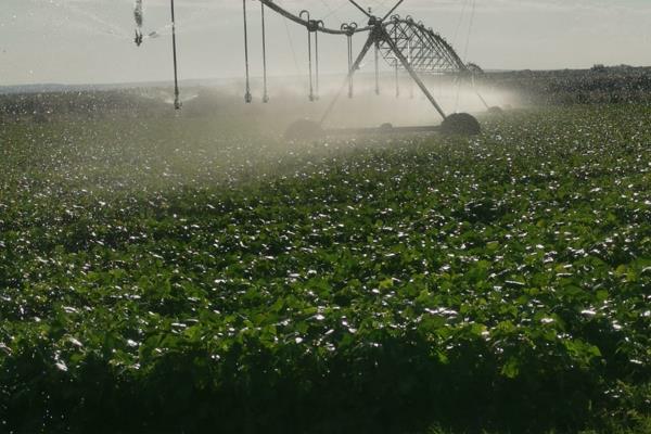 Gemengde Plaas Te Koop met die volgende:
130 ha Ingelyste Water
260 ha Spilpunte
Plus goeie weiding
Let Wel:
Die Verkoper is BTW ...