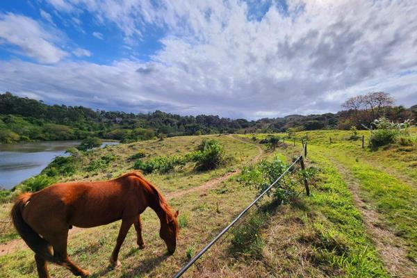 This lifestyle farm is set on 18,9ha of beautiful natural forest and typical Natal indigenous foliage. It is just off the R102, so ...