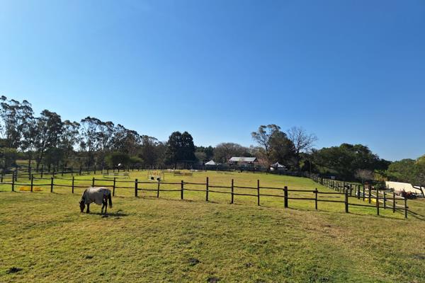 ID Properties is excited to present a beautiful 178 ha of farm.
The farm is about 30kms from East London just off the N2.

The main ...