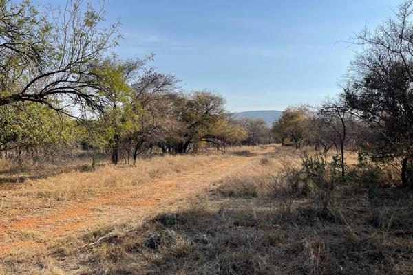 This beautiful 13 Ha Plot is near Thabazimbi. It is fenced off and has strong borehole.