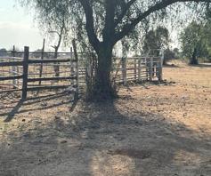 Farm for sale in Bloemfontein Rural