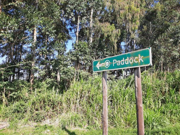Farm for sale in Port Shepstone Rural - 8132 Paddock - P24-113007366