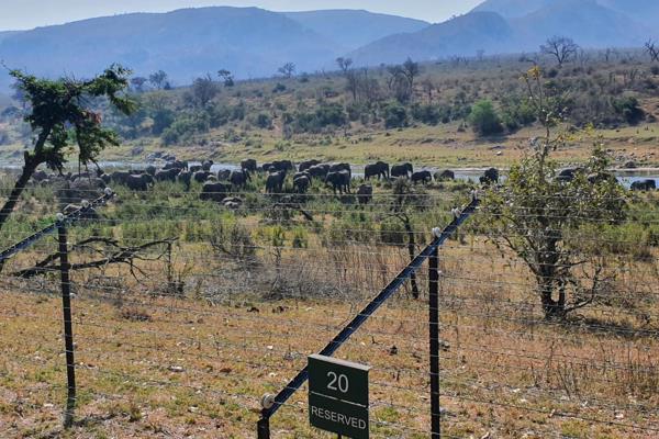 Experience an exquisite and intimate new development nestled along the scenic Crocodile River. With stunning views of Kruger National ...