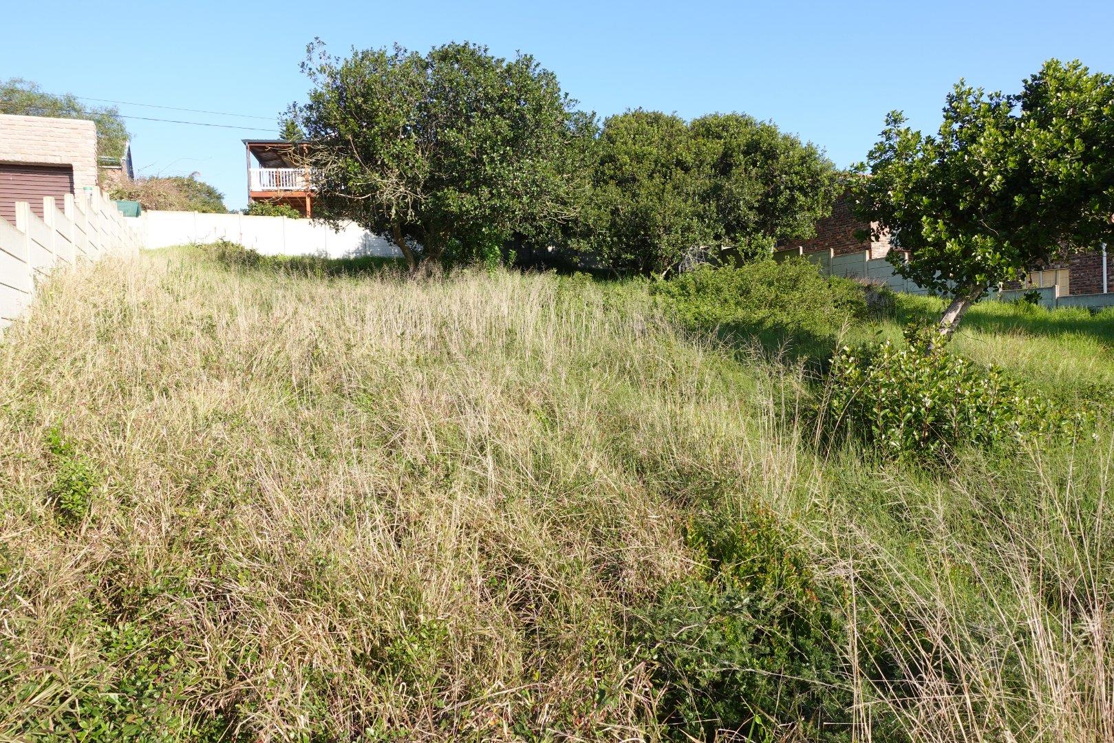 Vacant land / plot for sale in Klein Brak Rivier 20 Bergsig Avenue