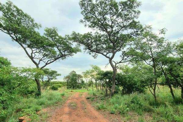 Beautiful unspoilt full title property with stunning views located within  the Leeuwkloof Valley Conservancy. Perfect for someone ...