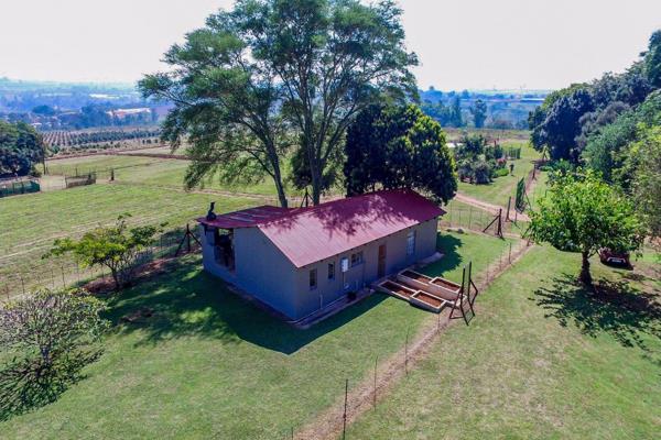 The 2 farm portions (19,7 ha plus 25,58 ha) are located just outskirt of White River offering two homesteads, a pack house, stores plus ...