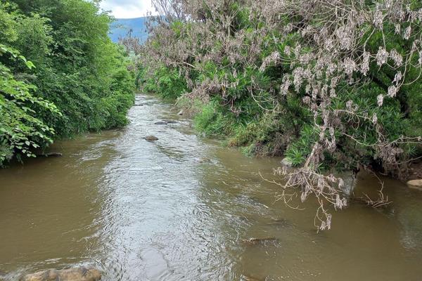 Imagine 92ha of land with 30ha of arable land and water rights allocation of 18ha from the Crocodile River. However, this is not even ...