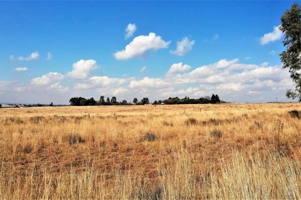 9.67ha flat vacant land on Randvaal Road. Close access to the R59. Ideal for farming. 

Amenities
Easy access to main road ...