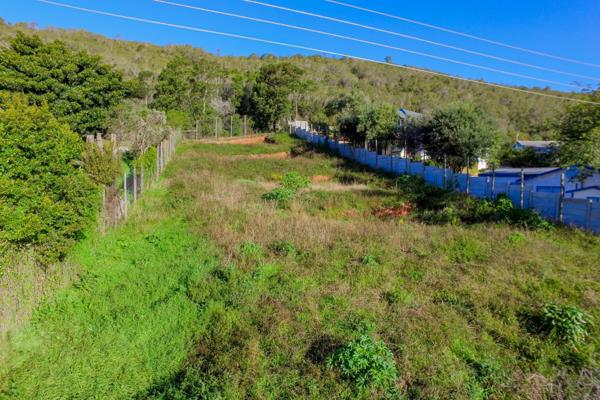 Vacant Land for Sale in Wittedrift

Discover a remarkable opportunity to create your ...