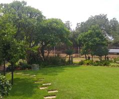 Farm for sale in Waagfontein