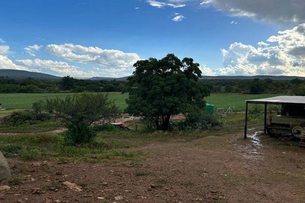 13.7 ha small holding which is surrounded by spectacular mountain views. Bordering the R24 and near to Olifantsnek dam for sale. 
 ...