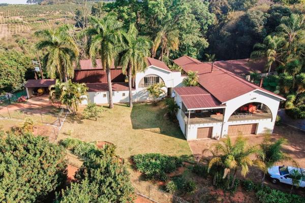 This beautiful well-maintained, income-generating farm, is in the heart of Agatha, overlooking Tzaneen. A stone&#39;s throw from town ...