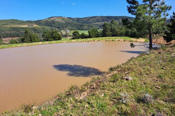 This beautiful 264 Ha farm is situated 12 km from Riversdale, below the slopes of the majestic Langeberg Mountain Range. On the farm is ...