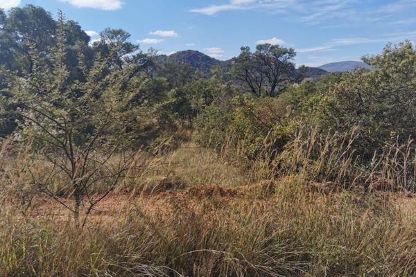 This farm is located just outside Mokopane. 65 Ha farm with 2.0m high Bonox fencing.
House is fenced separately.

What an incredible ...