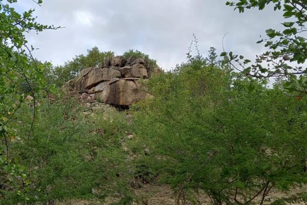 This vacant land is for sale 12km west of Musina.
No fence, borehole and no electricity yet.
Partially fenced.
Ideal for goats and ...