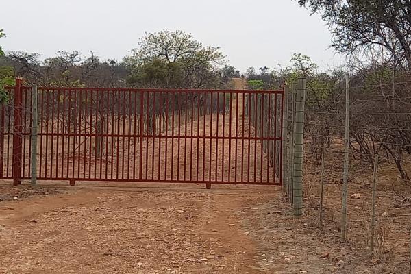 This farm is 12km West of Musina. 2.1m high fence.

This is an operational goat and sheep farm. This farm is fenced with the adjacent ...