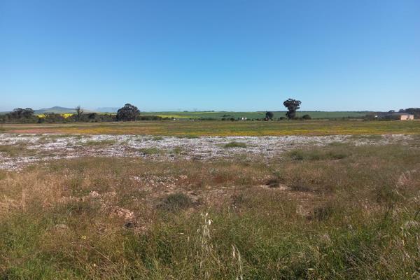 This 7ha potion of vacant land is situated in the Rondeberg area.  It has 3,5ha of established Kikuyu grass and a very strong borehole ...