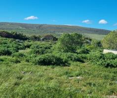 Vacant Land / Plot for sale in Agulhas