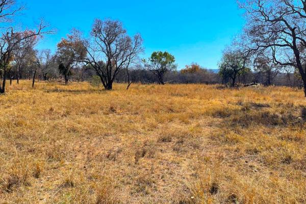 Bou jou droomhuis in &#39;n spog gholflandgoed in die Bosveld ! Bouplanne beskikbaar op aanvraag, groot en ruim erf, klein wild loop ...