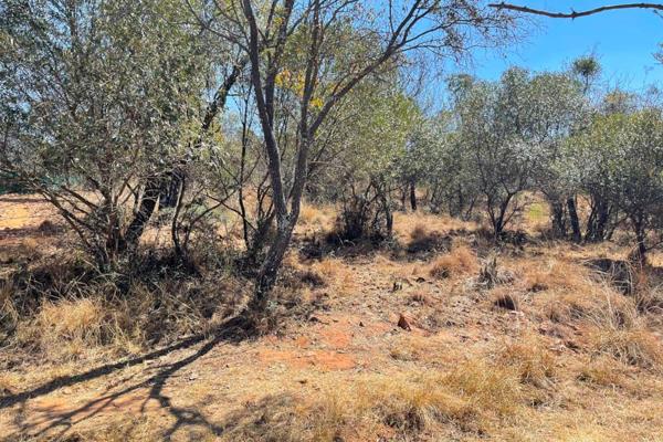 Bou jou droomhuis in &#39;n spog gholflandgoed in die Bosveld ! Bouplanne beskikbaar op aanvraag, groot en ruim erf, klein wild loop ...