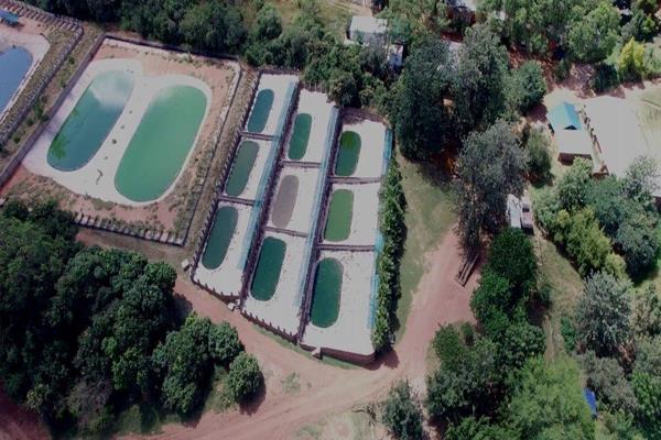 320 Hectares in the beautiful area of the Waterberg
An opportunity of a lifetime!
Price Excl. VAT
Easy access from Naboomspruit and ...