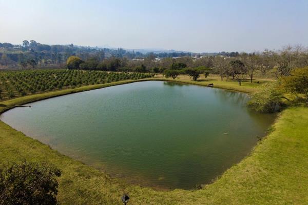 This stunning 12HA plot is situated just 5km from White River town and boasts an ...